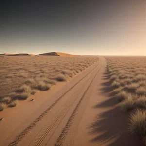 Sandy Serenity: Majestic Dunes Under Morocco's Sun