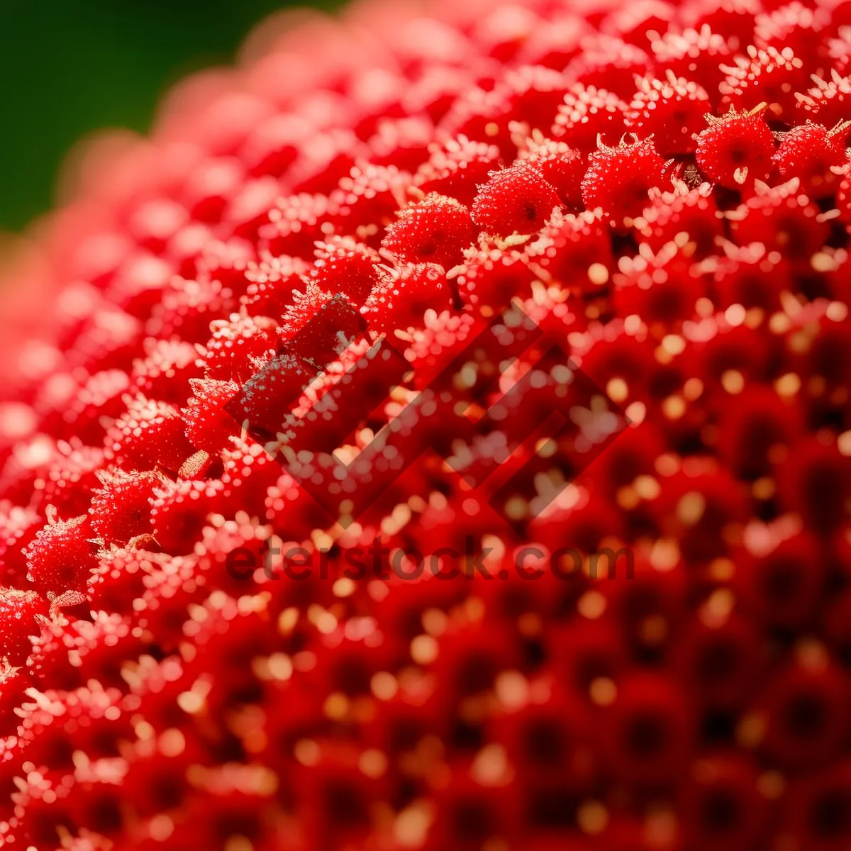 Picture of Vibrant Summer Strawberry Breakfast - Fresh and Healthy!