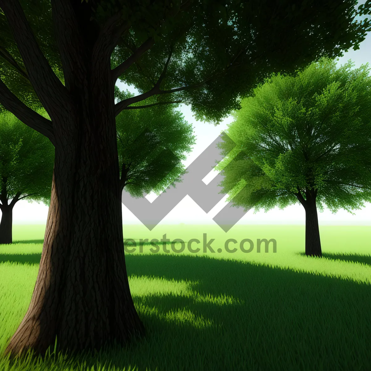 Picture of Idyllic Summer Landscape with Oak Trees and Grass