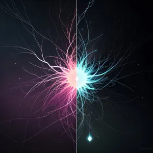 Colorful Firework Burst in Night Sky