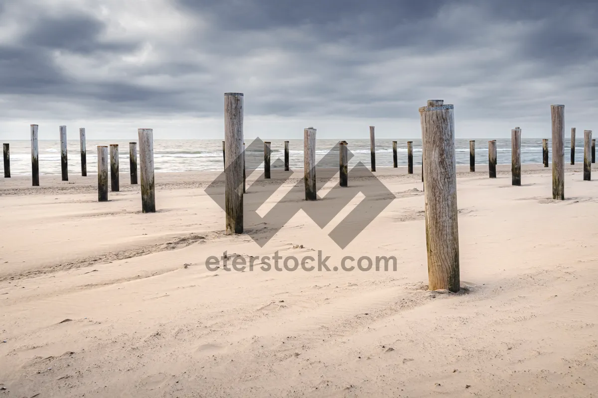 Picture of Cityscape skyline with pier over ocean waters