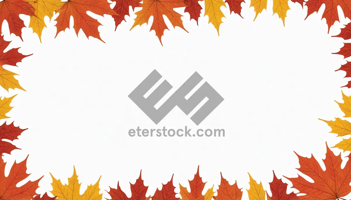 Picture of Bright Autumn Leaves Border - Colorful Foliage Frame