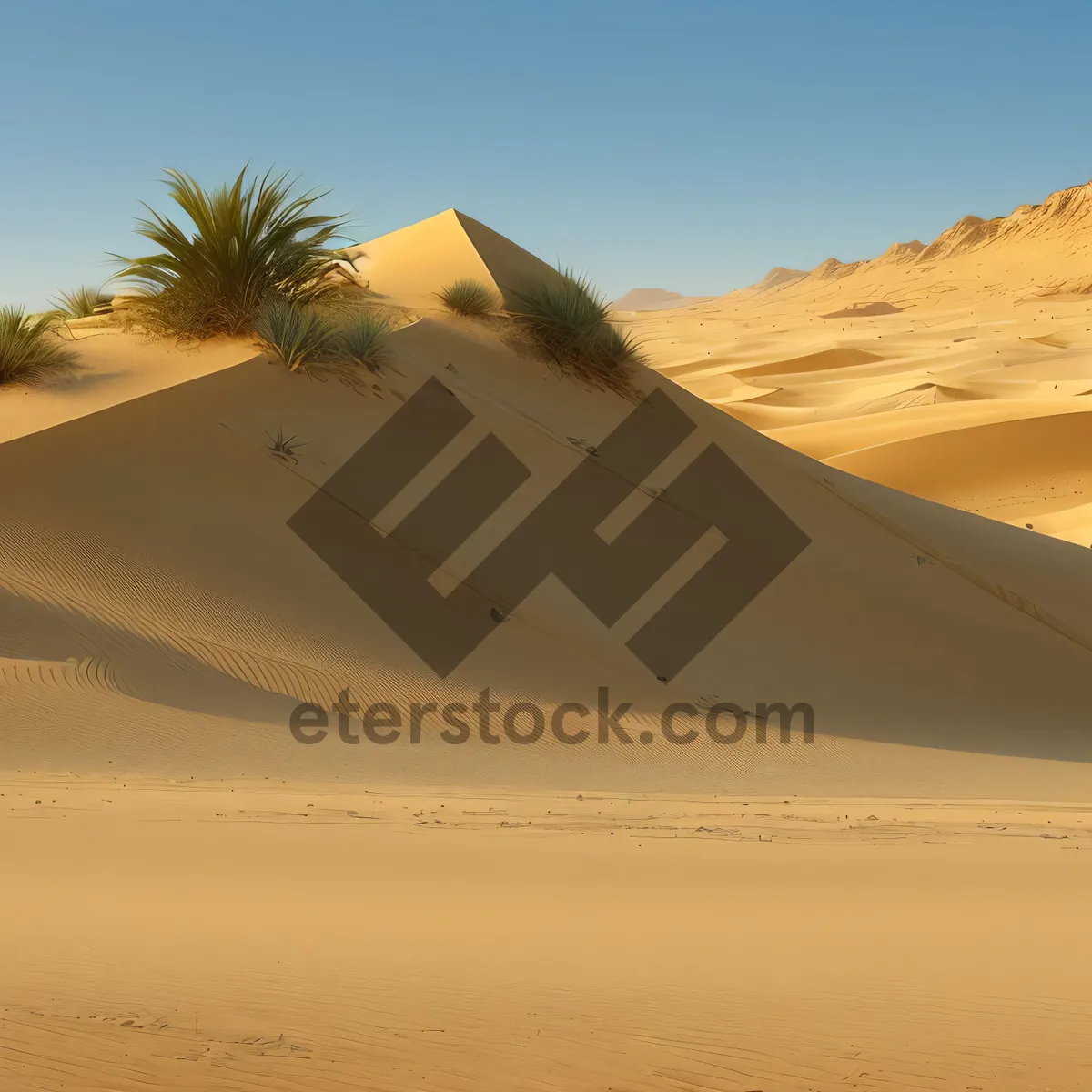 Picture of Dunes of Morocco: A Sunny Desert Adventure