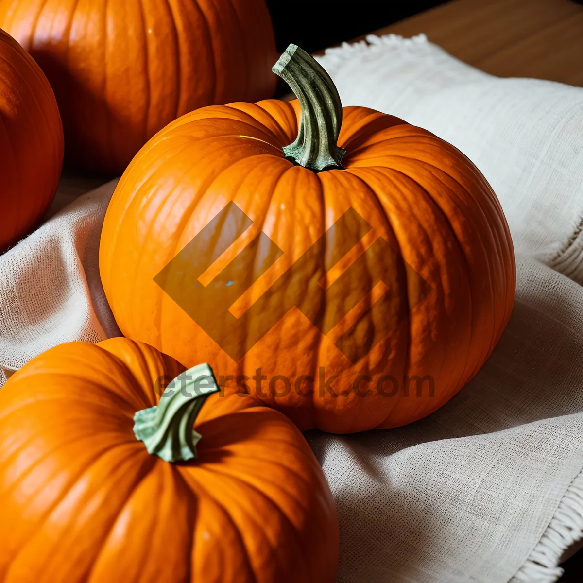 Picture of Festive Autumn Gourd Harvest