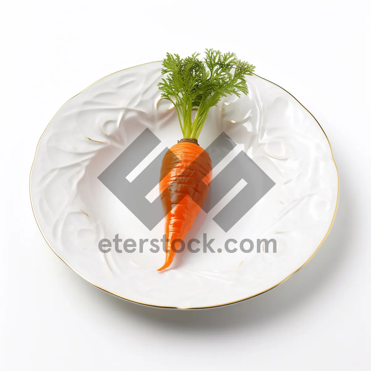 Picture of Delicious Gourmet Salad Plate with Fresh Vegetables