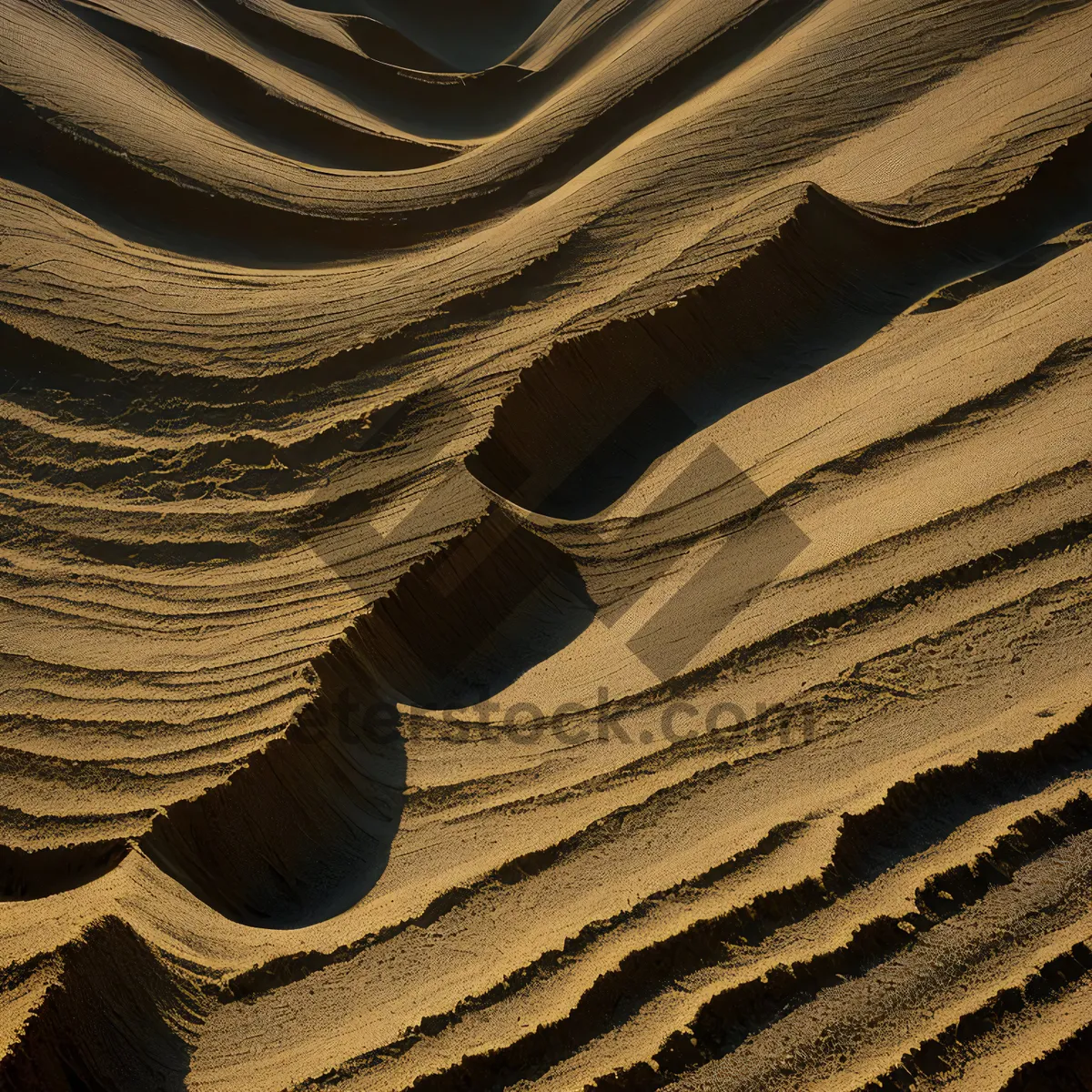 Picture of Desert Dune Landscape with Textured Rock Formation