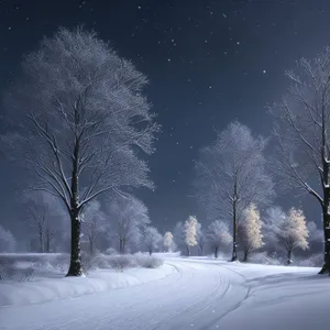 Winter Wonderland: Serene Frost-Covered Landscape Amidst Snowy Forest.