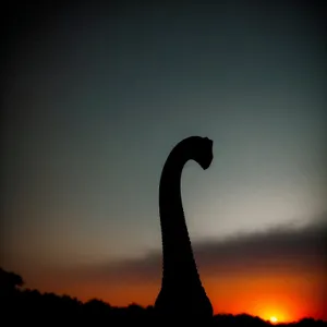 Dusk's Silhouette: Majestic Sunset Sky with Goose