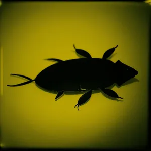 Cockroach Silhouette in Sunlit Aquarium