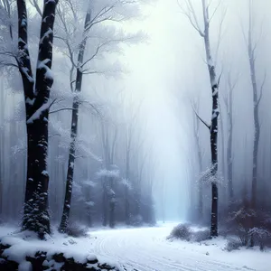 Winter Wonderland: Serene Snowy Forest Landscape