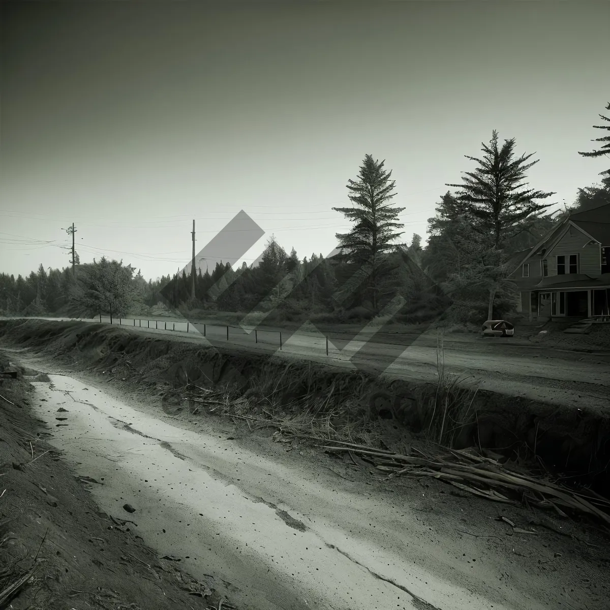 Picture of Scenic Country Road with Tree-lined Horizon