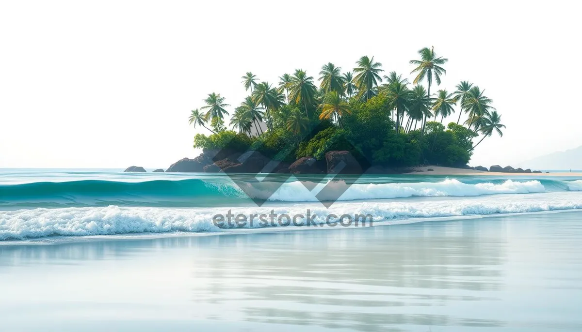 Picture of Tranquil Beach Paradise in Tropical Destination