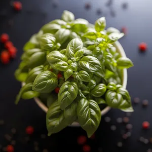 Fresh berry bouquet with basil and flowers