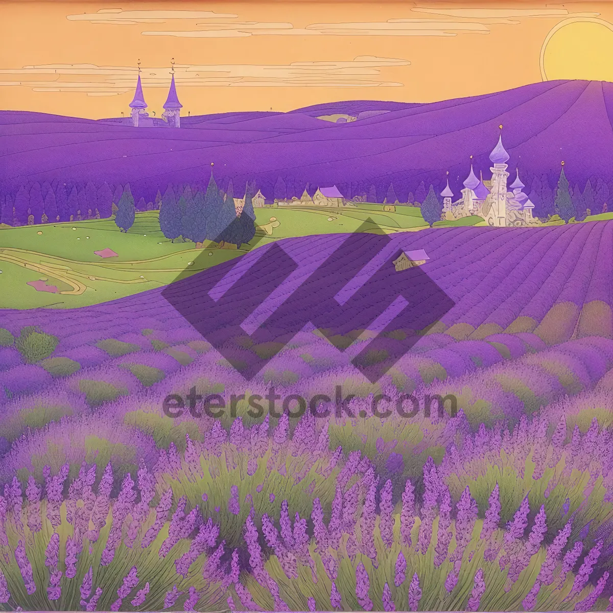 Picture of Colorful Lavender Field in Rural Landscape