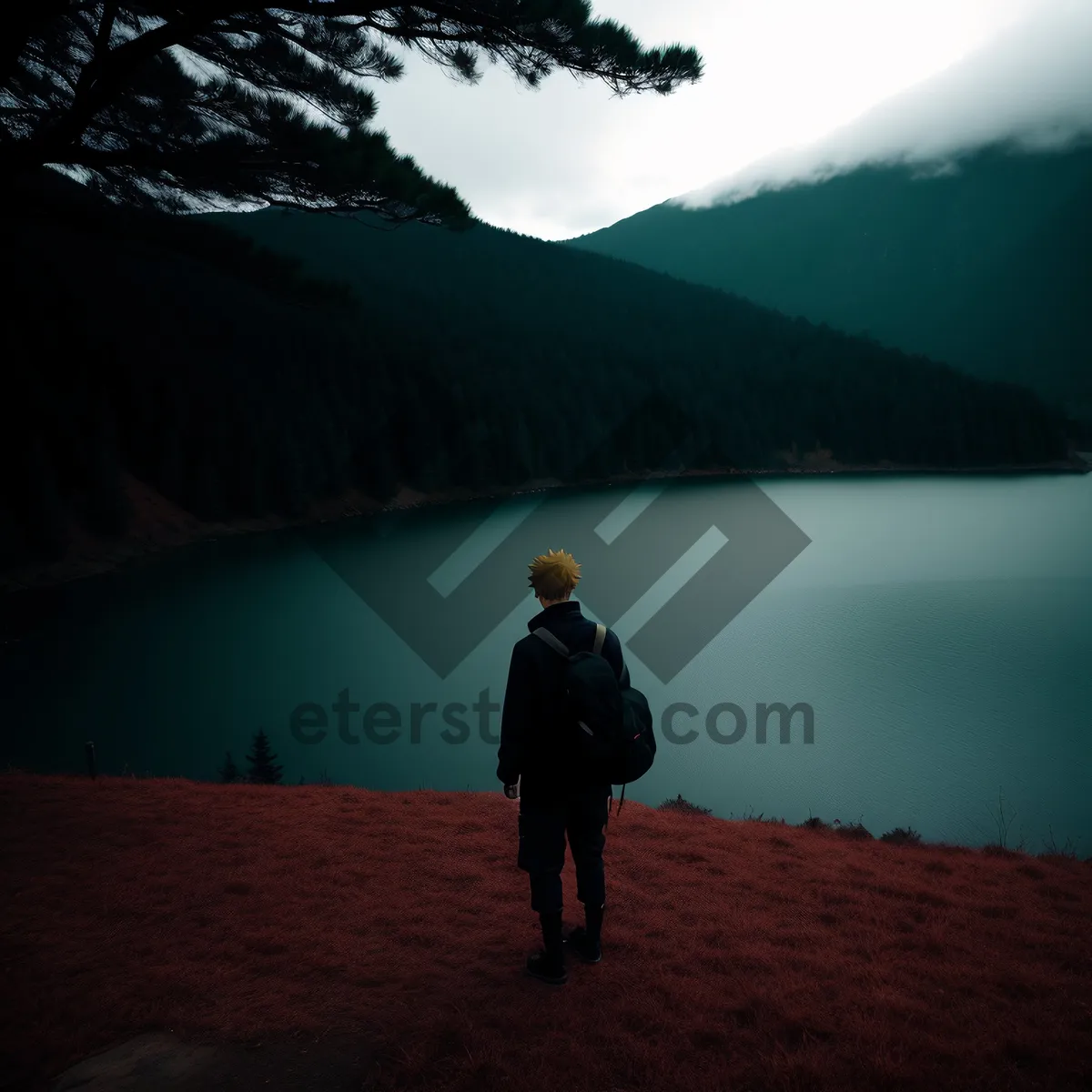 Picture of Serene Mountain Landscape under Starlit Sky