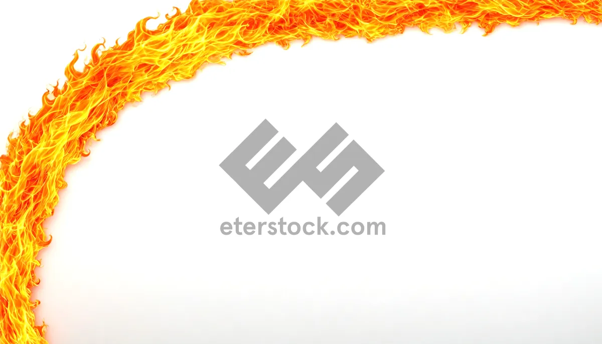 Picture of Floral Pattern Design Element Border Decoration.