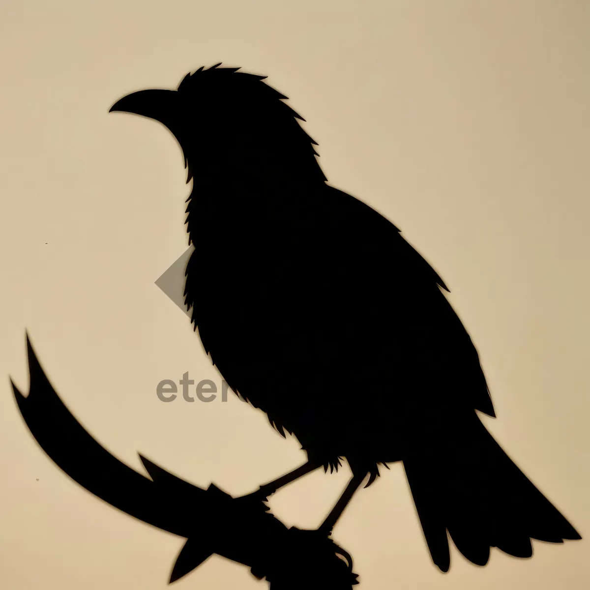 Picture of Wild Winged Beauty: Majestic Magpie in Flight