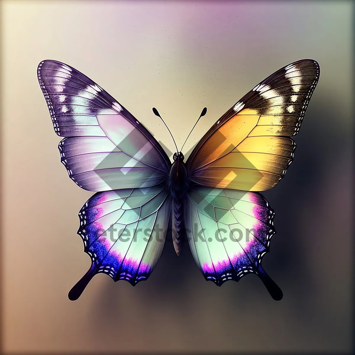 Picture of Colorful Butterfly Closeup in Vibrant Garden