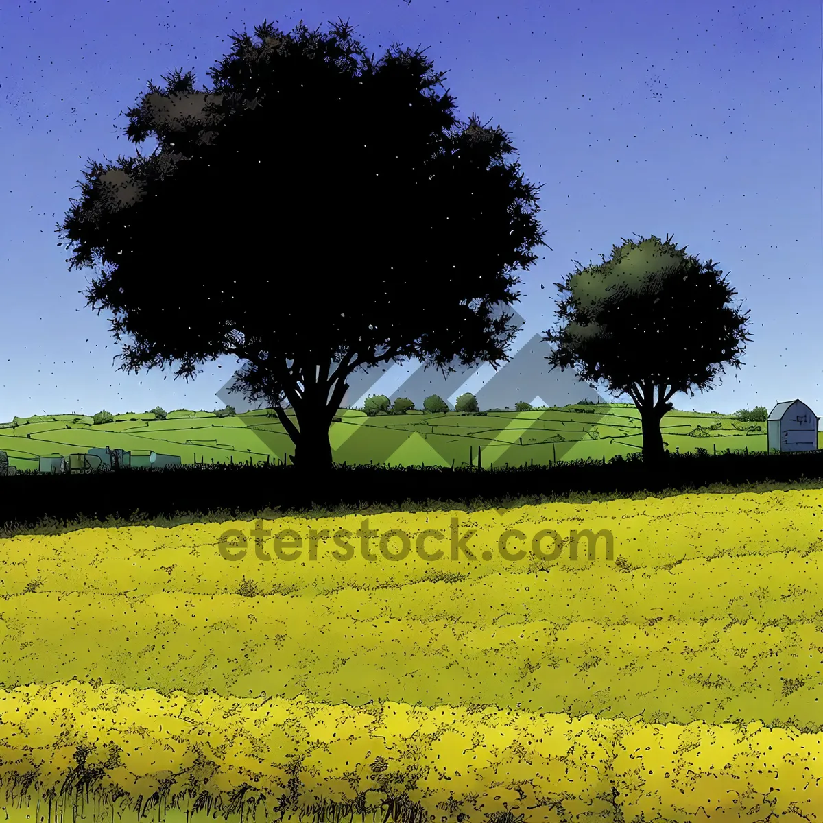 Picture of Golden Rapeseed Field in the Countryside