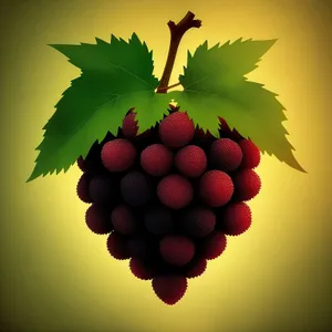 Autumn Harvest: Juicy Berry Bunch on Vine