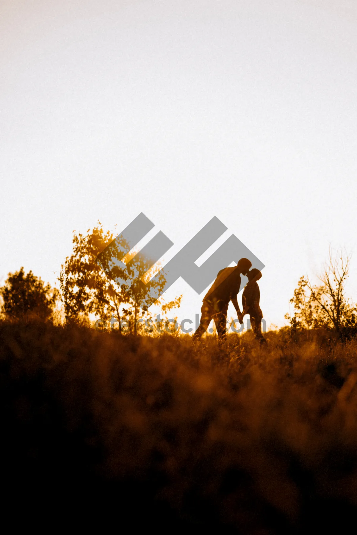 Picture of Rural landscape with dog pointing in field