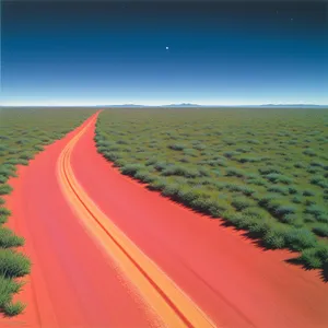 Desert Serenity: Road to Rural Horizon