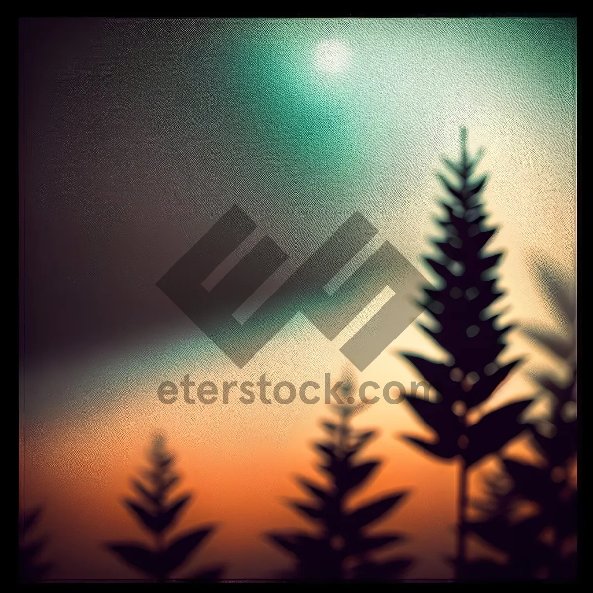 Picture of Tropical Sunset Silhouette: Tree, Sky, and Blaze