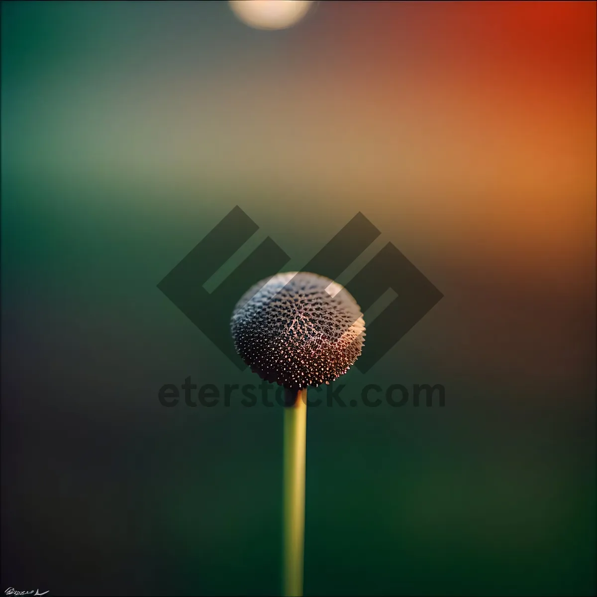 Picture of Mic on Tee: Golfer's Swing at Golf Ball