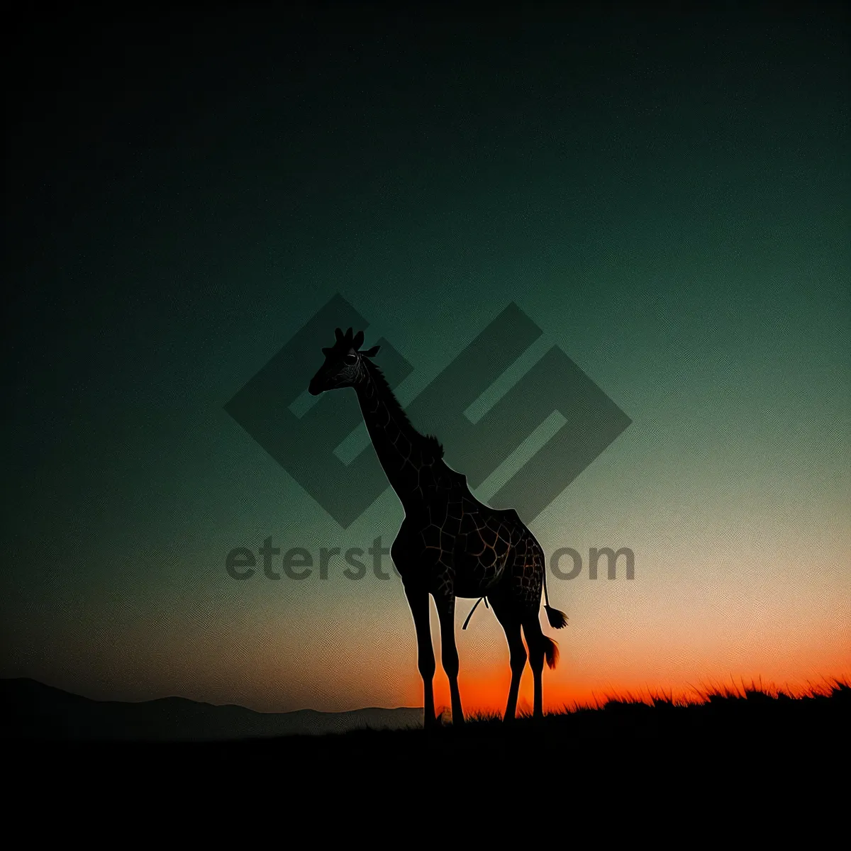 Picture of Serenity in the Wild: Sunset Silhouette of Giraffe