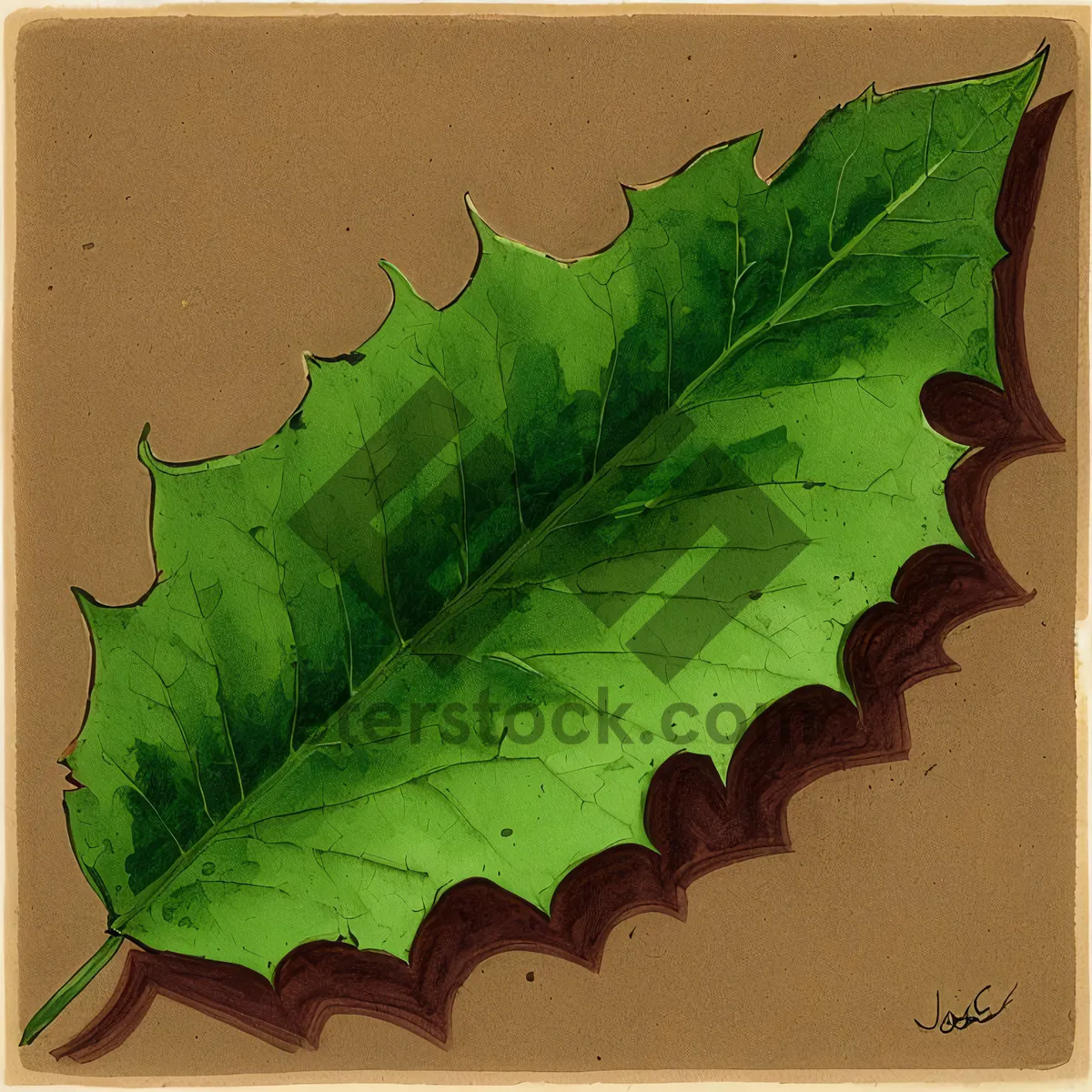 Picture of Fresh Organic Kale Leaves - Healthy Garden Greens