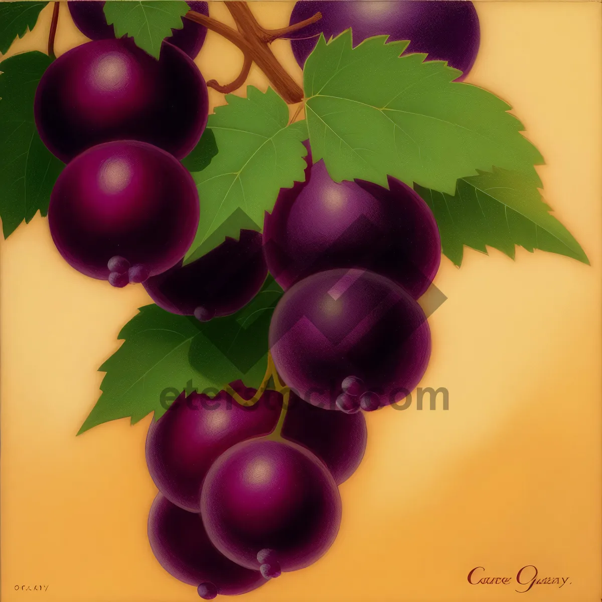 Picture of Vibrant Winter Berry Delight: Juicy Cherry & Grape