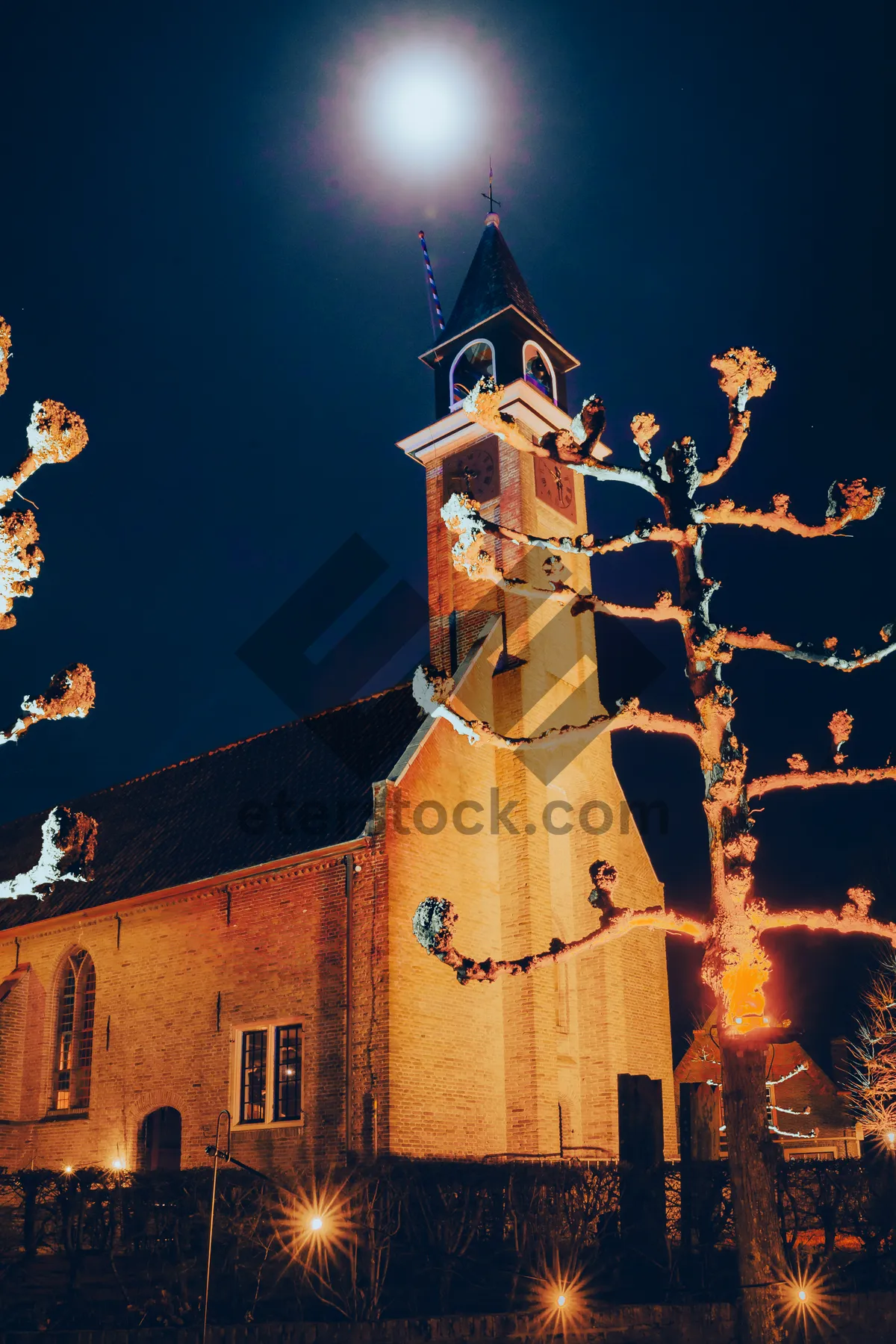 Picture of Historic cathedral architecture with bell cote tower.