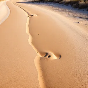 Sandy Dune Landscape under the Hot Sun