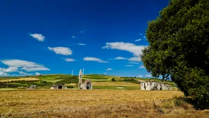 Seasonal Sky Landscape with Trees and Harvested Fields