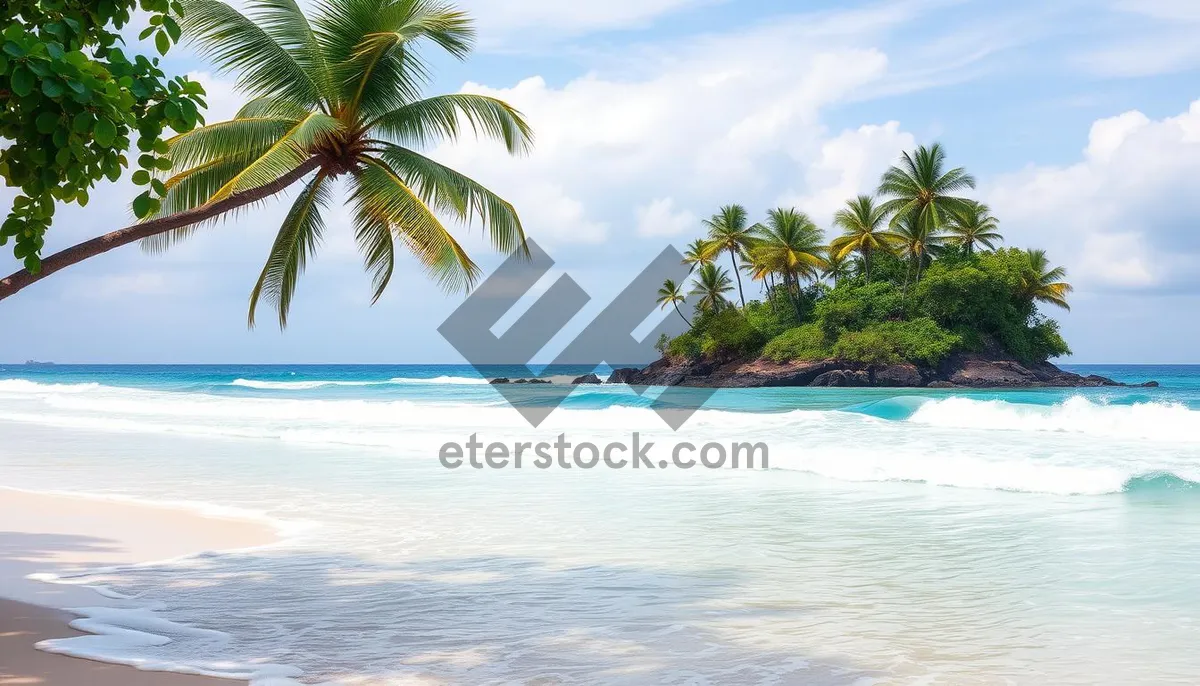 Picture of Tropical Beach Paradise with Calm Seas and Palm Trees