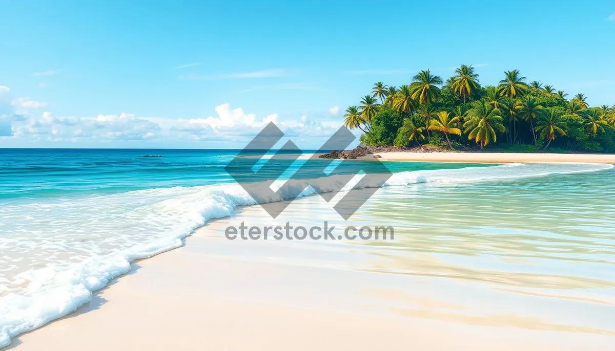 Picture of Tropical paradise beach with clear turquoise waters.