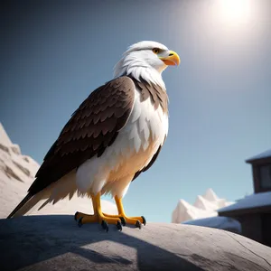 Majestic Predator: Bald Eagle in Nature's Realm