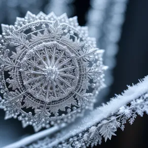 Frozen Cactus in Snowy Winter Wonderland