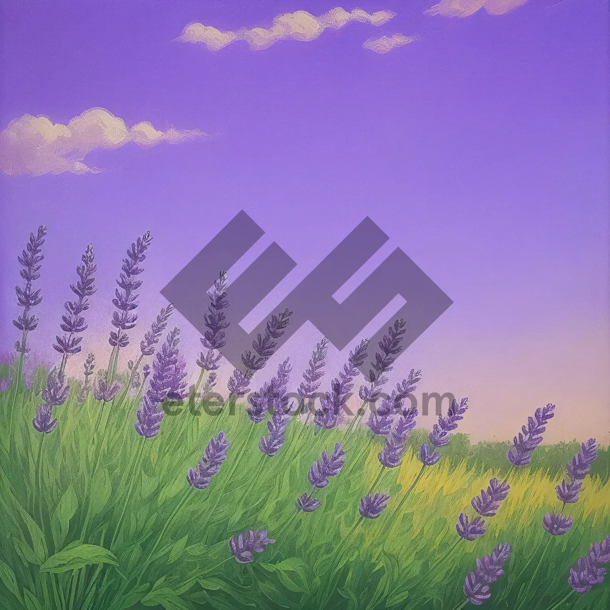 Picture of Vibrant Lavender Field under Purple Sky