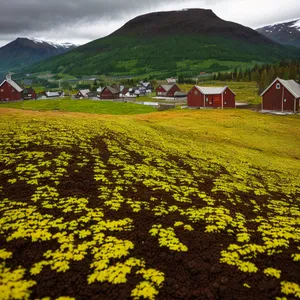 Scenic Summer Mountain Landscape with Vibrant Fields