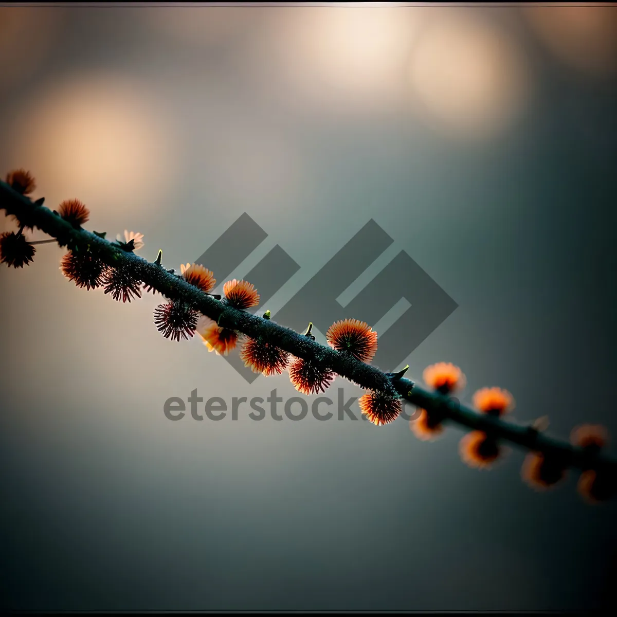 Picture of Elegant Black Chain Necklace - Perfect Gift for Jewelry Lovers and Decorative Accents