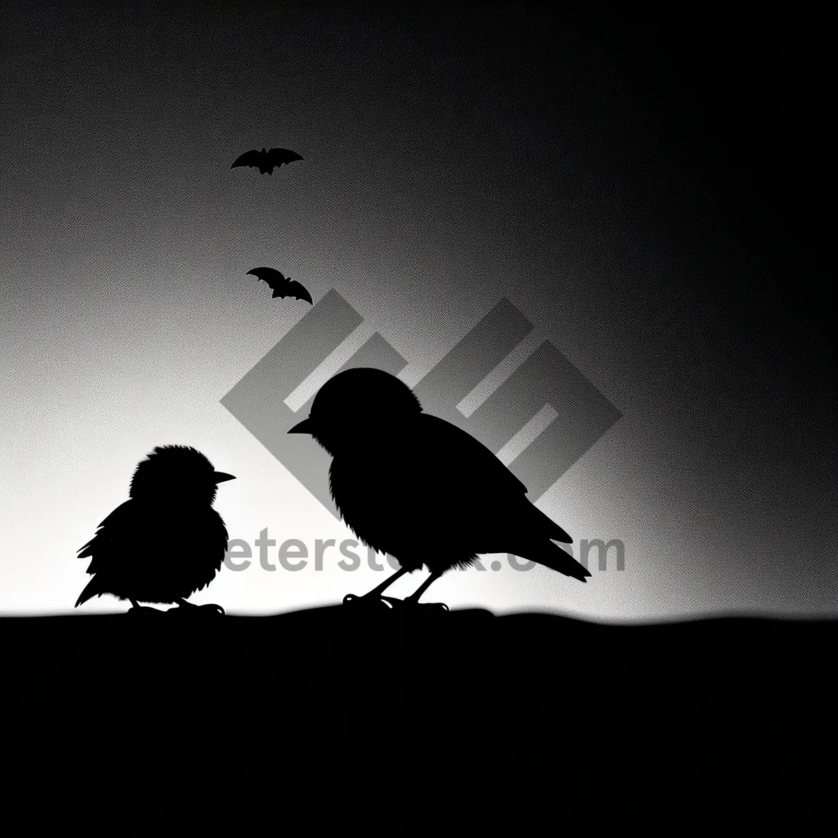 Picture of Silhouette of Black Dove at Dusk