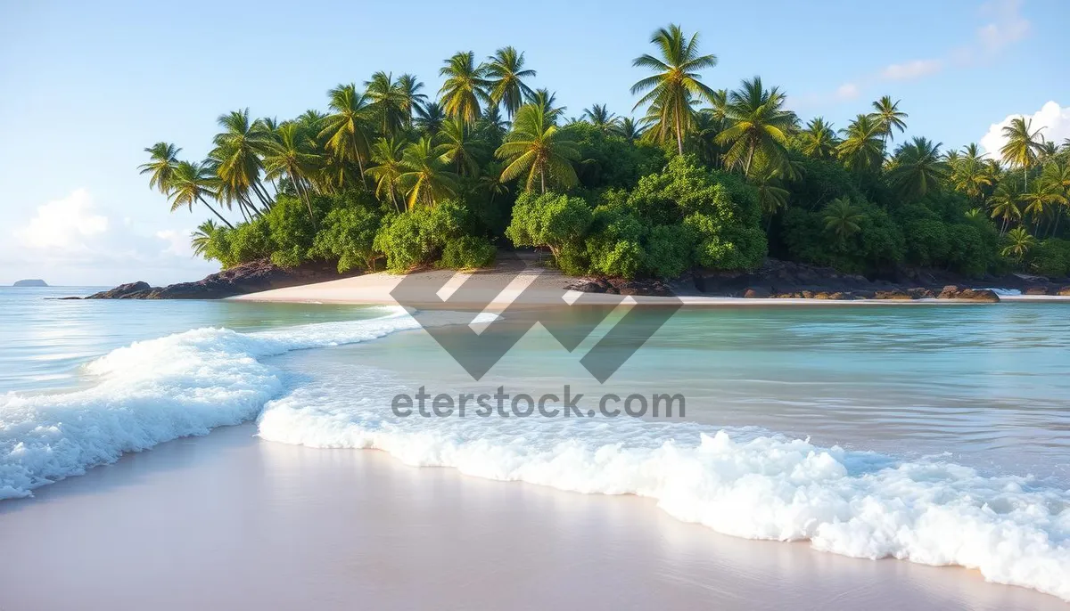 Picture of Tropical beach with palm trees and turquoise water.