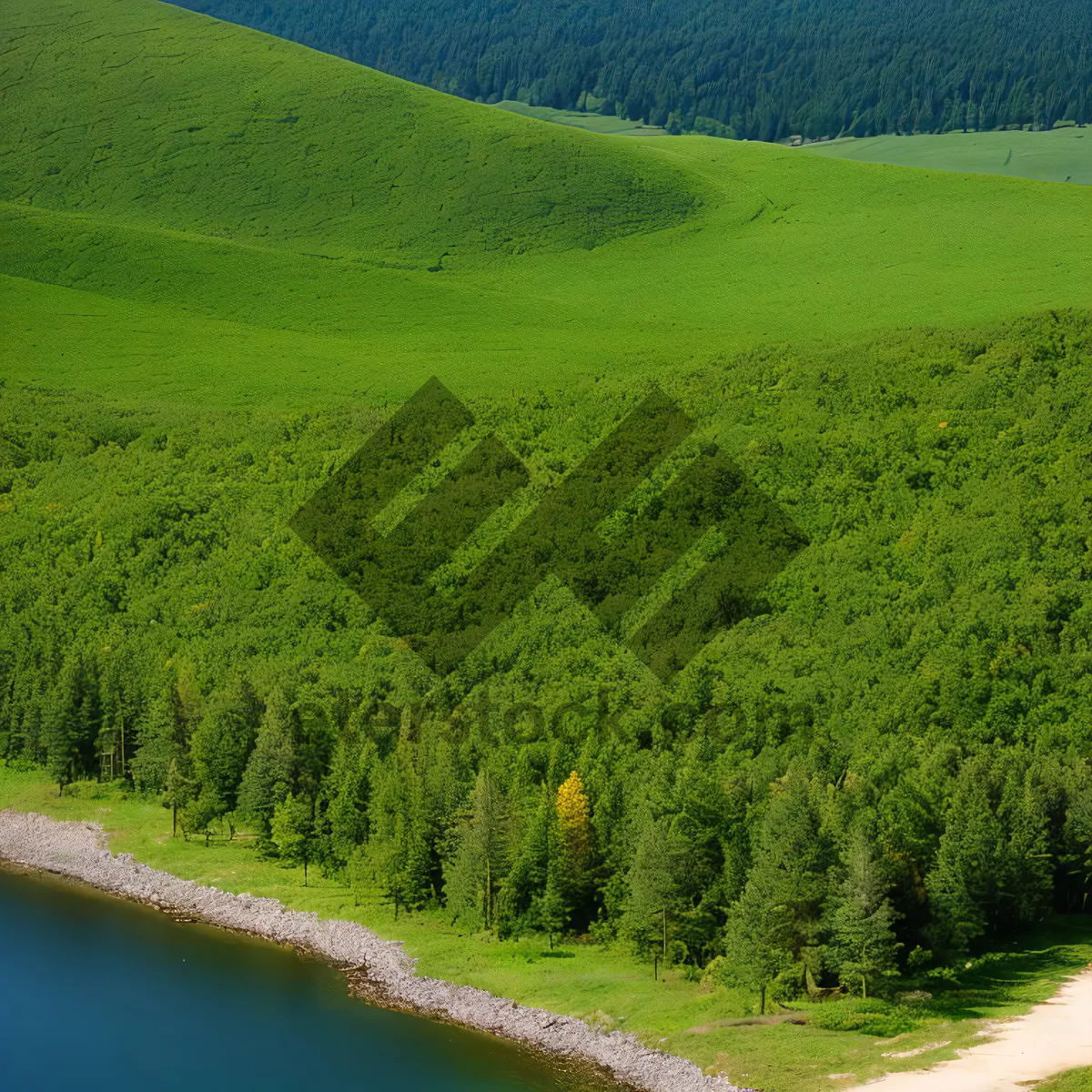 Picture of Serene Highland Landscape with Vibrant Green Fields