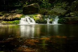 Tranquil waterfall in forest park with flowing stream.