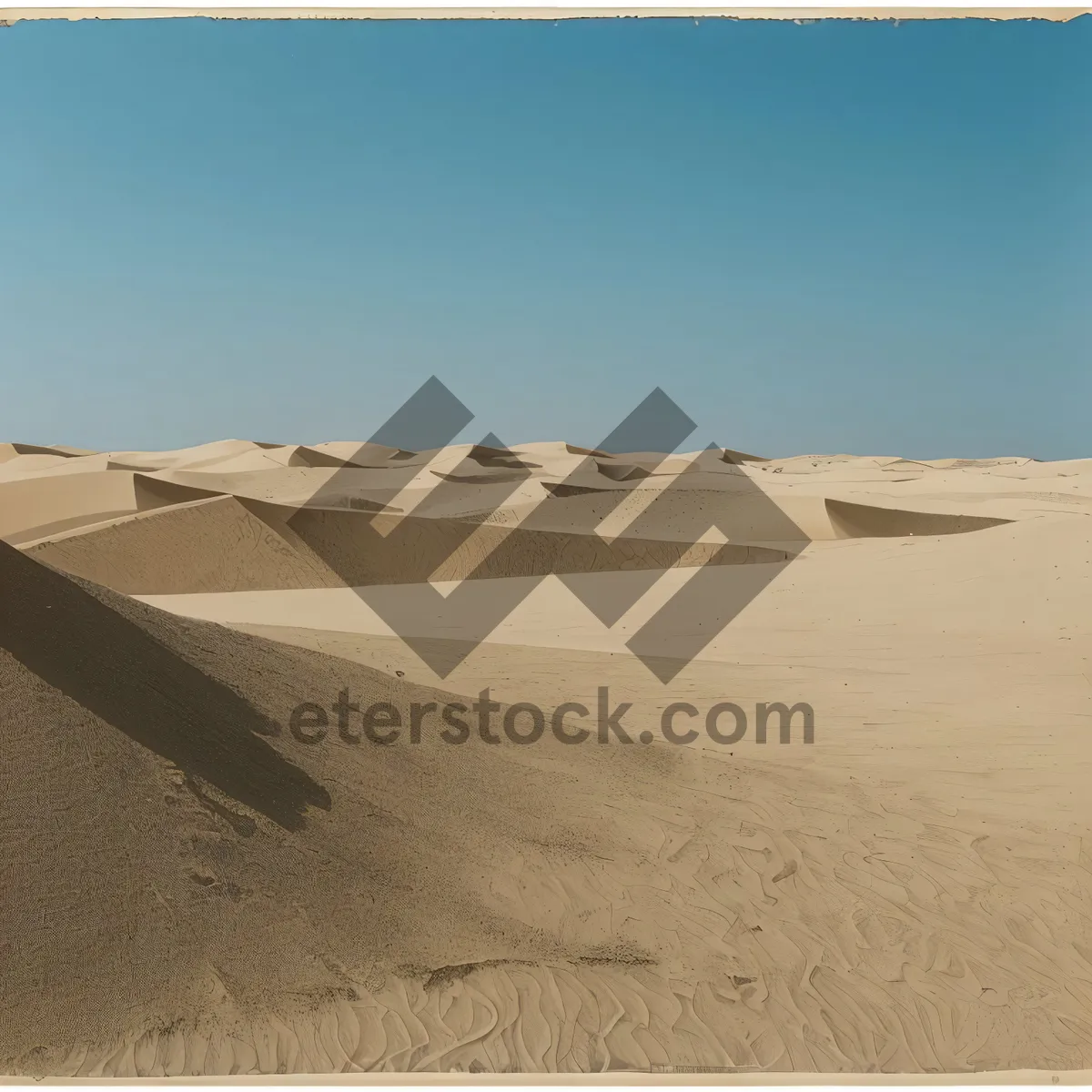 Picture of Sandy Adventure in Moroccan Desert