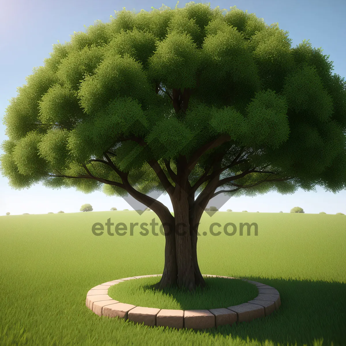 Picture of Vibrant Elm Tree Flourishing in Summer Landscape