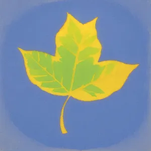 Maple Leaf in Yellow Autumn Season