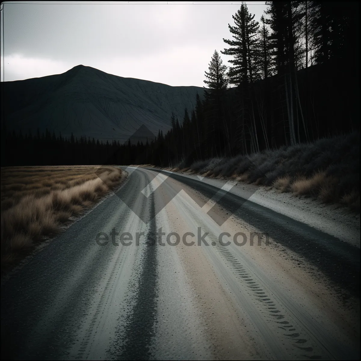 Picture of Speeding through the Night: Asphalt Highway Tunnel