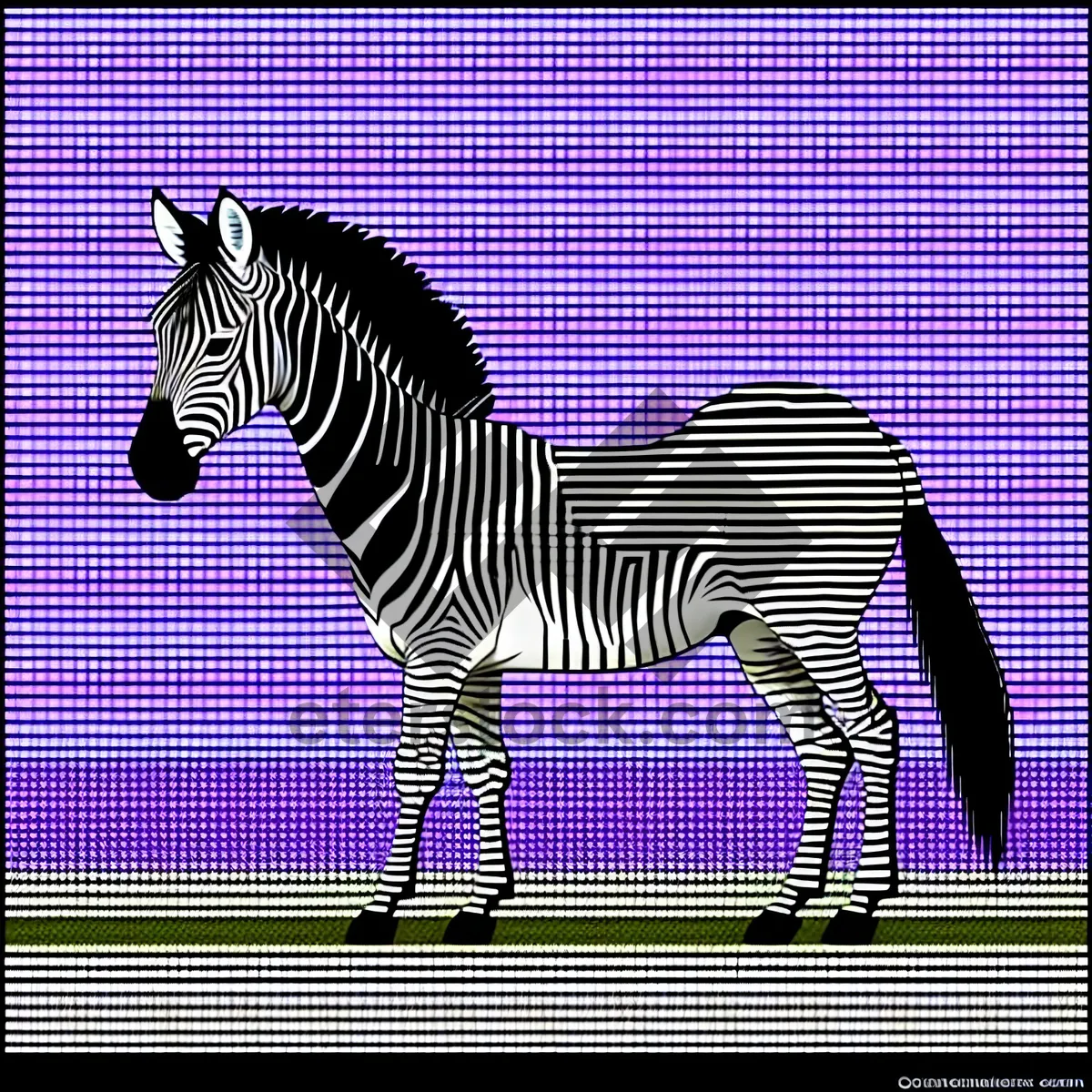 Picture of Majestic Black Zebra in Safari Wilderness